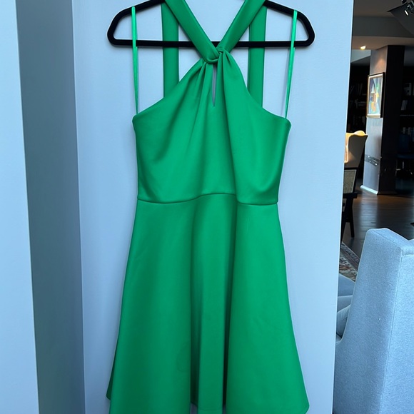 Ted Baker Dresses & Skirts - TED BAKER dress, size 3